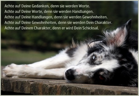 gedanken
