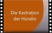 kastration