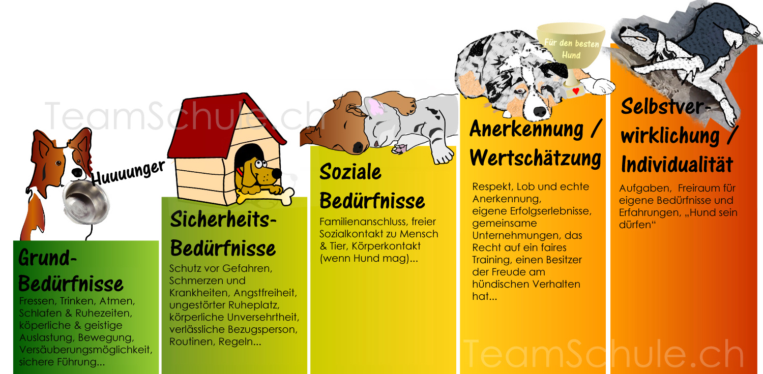 maslow-bilder.jpg