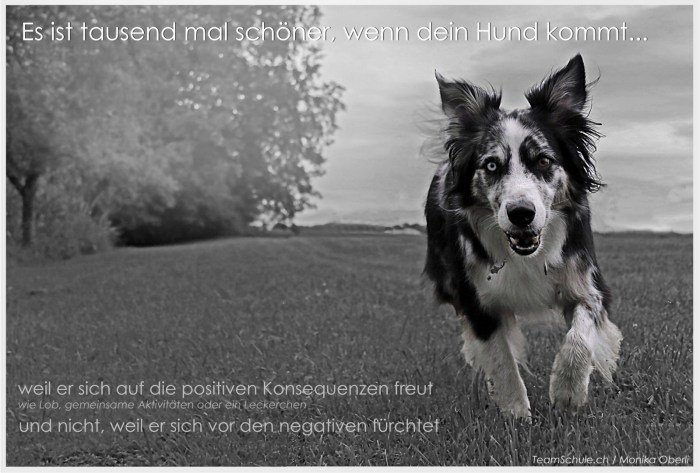 13988174_1030256130403604_3769655944404744208_o