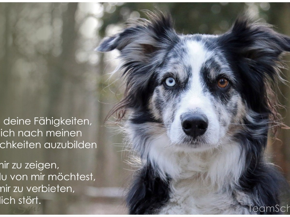 Gedankensplitter – achte meine Möglichkeiten