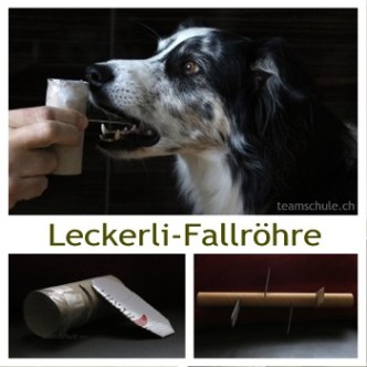 leckerli-fallroehre