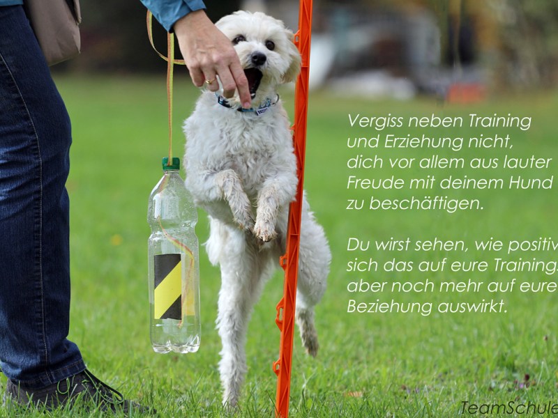 Gedankensplitter – Mach euch eine gute Zeit