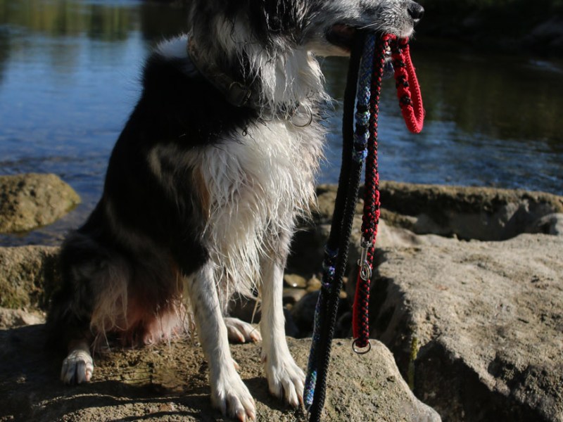 Gedankensplitter – Es hat immer einen Grund…