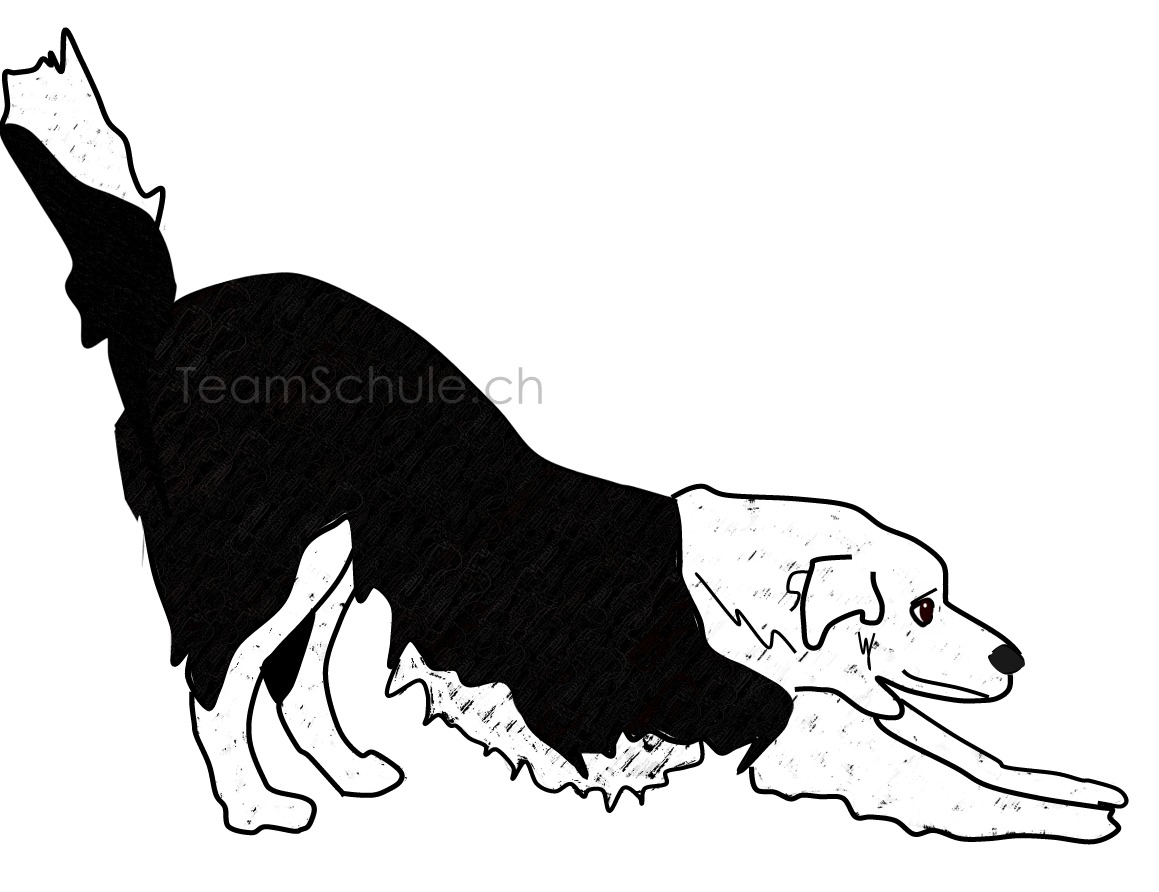 Dieses Bild hat ein leeres alt-Attribut; sein Dateiname ist vorderk%C3%B6pertiefstellung_strecke-stressn.jpg.