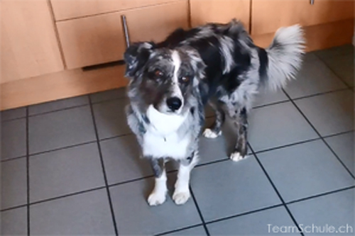 Meideverhalten_Nicht1