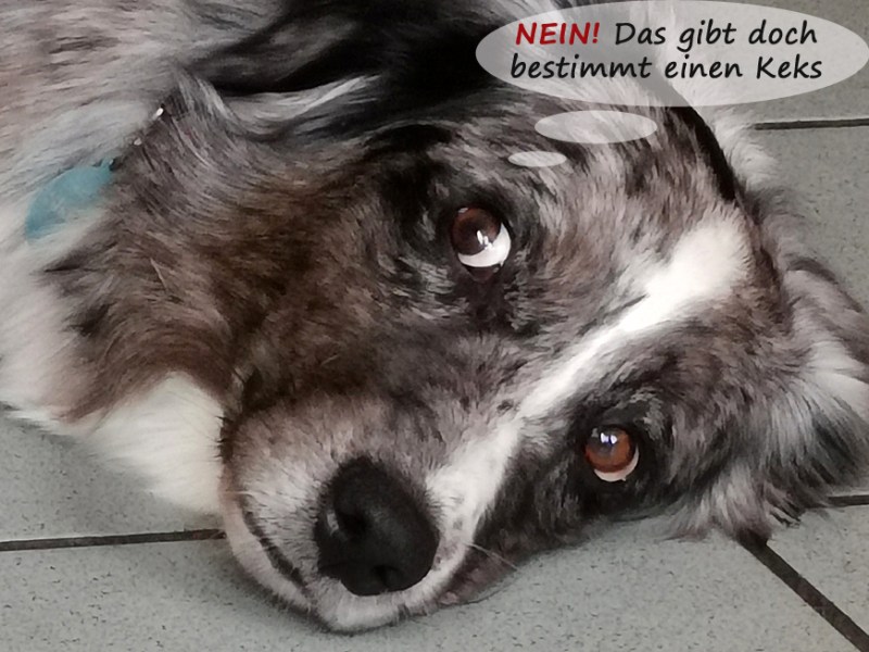 Das ominöse „Nein“ zum Zweiten