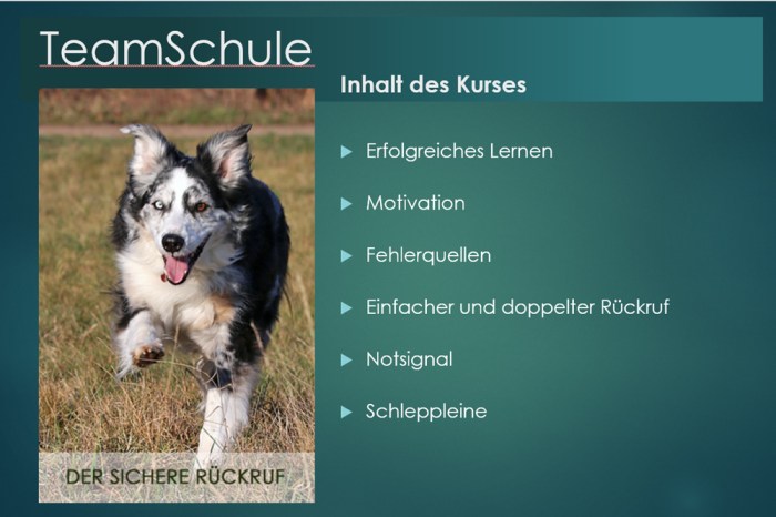 Dieses Bild hat ein leeres Alt-Attribut. Der Dateiname ist rueckruf.jpg